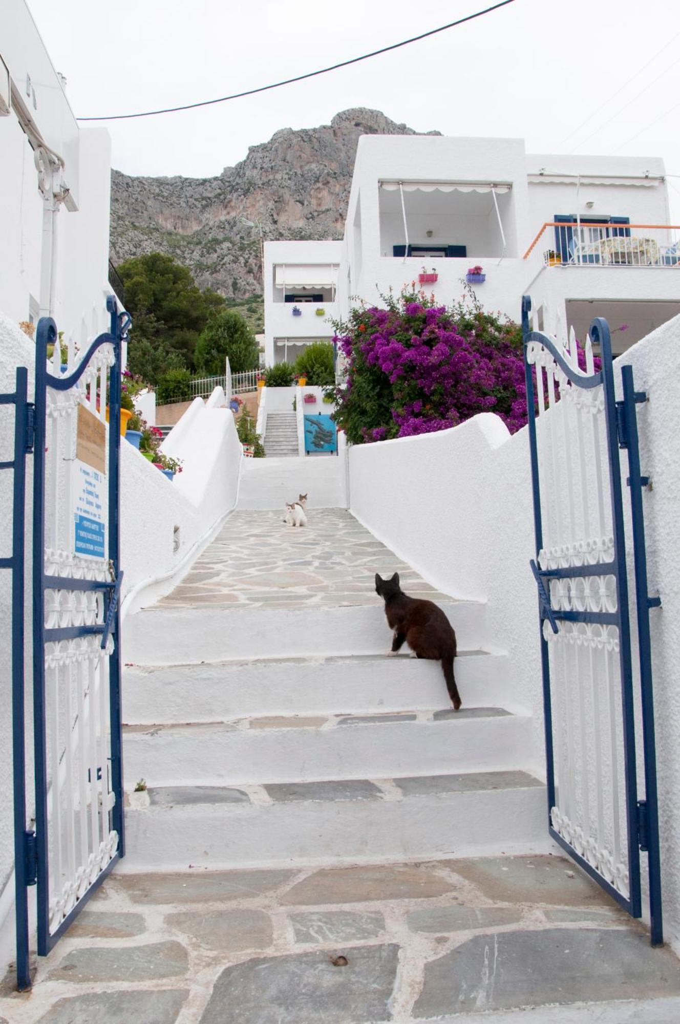 Tatsis Apartments Masouri Esterno foto