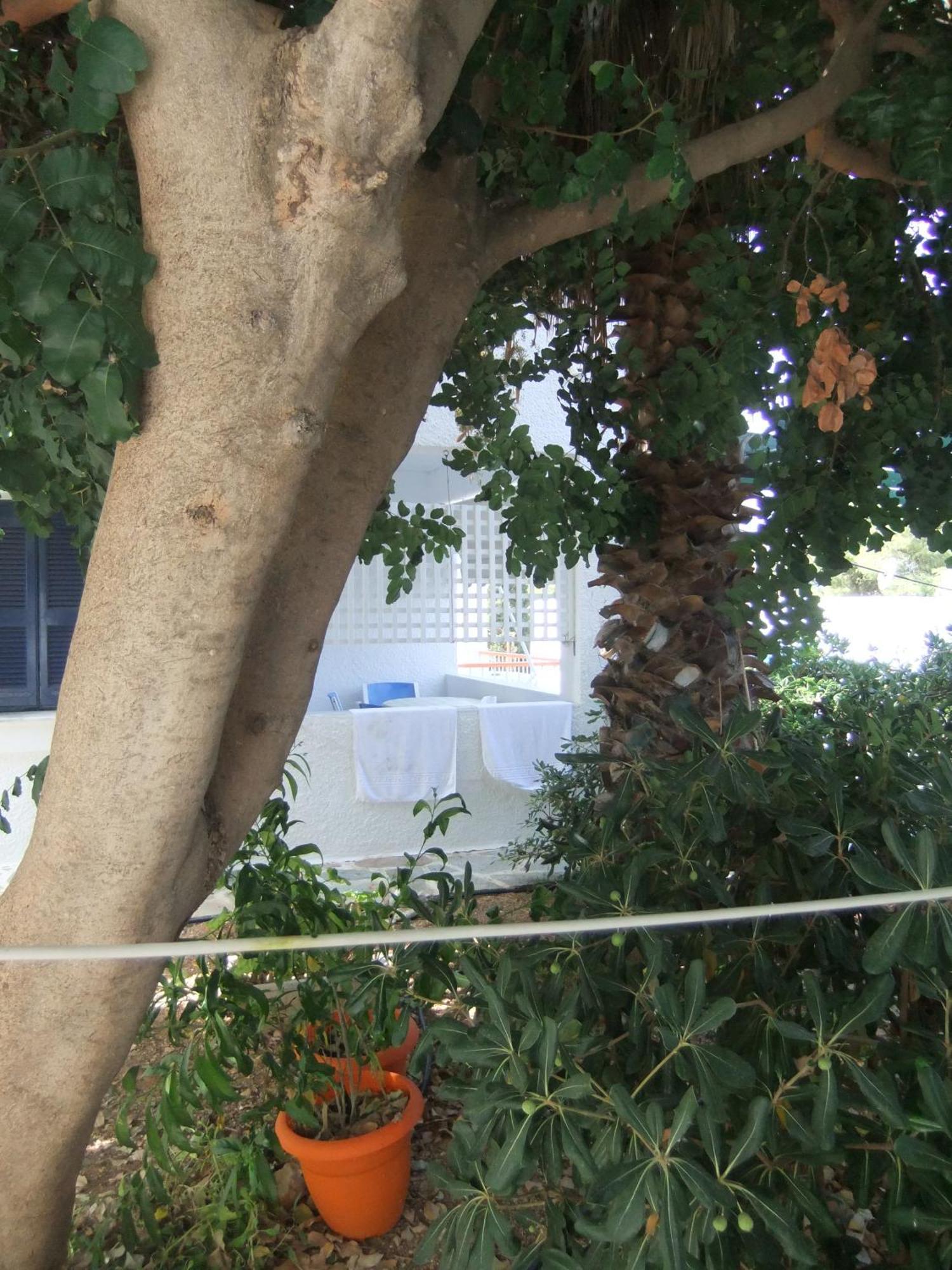 Tatsis Apartments Masouri Camera foto